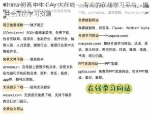 china 初髙中生 GAy 大在线——专业的在线学习平台，提供全面的学习资源