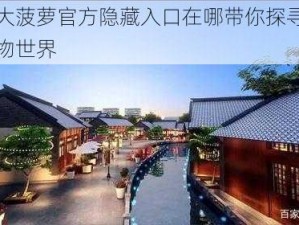 福建大菠萝官方隐藏入口在哪带你探寻神秘的购物世界