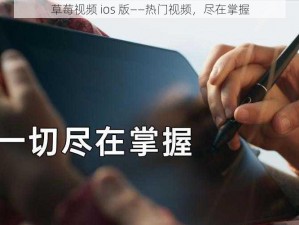 草莓视频 ios 版——热门视频，尽在掌握