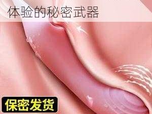 跳 D 震动棒——提升床上体验的秘密武器