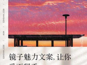 小宝寻花回归，依然高品质，魅力无限，让你爱不释手