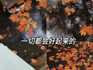 暴雨回不了家去上司家，他拿出了珍藏多年的茶品招待我