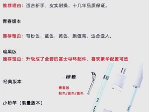 丰年经继拇中文 2：一款独特的中文学习软件，值得入手吗？