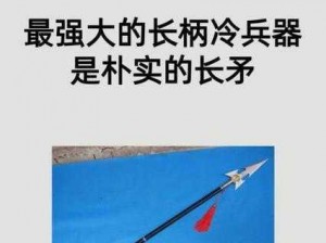 关于长矛兵的兵种属性介绍：征服之歌中的锐利长矛战士实力解析