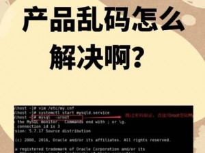 中文字幕一区二区三区乱码：网络热点词汇的背后故事