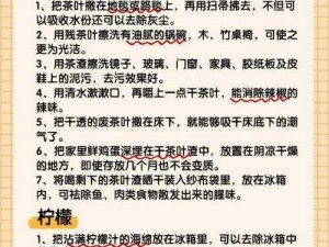 打造全球实用技能：大生活必备技巧详解