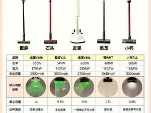 风来之国攻略：狂暴吸尘器Boss打法指南全解析