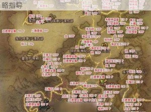 《永恒之塔》龙帝副本无伤攻略：细致操作与策略指导