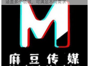 麻豆画精品传媒 2021 内有众多优质资源，涵盖多个领域，可满足不同需求