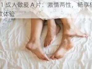 91 成人做爰 A 片：激情两性，畅享极致体验