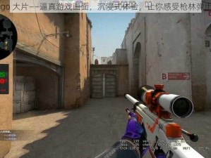 顶级 csgo 大片——逼真游戏画面，沉浸式体验，让你感受枪林弹雨的刺激