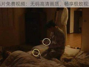 一级毛片免费视频：无码高清画质，畅享极致视觉体验