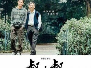 老头同男 Gay 片 电影高清正版 DVD 在线购买