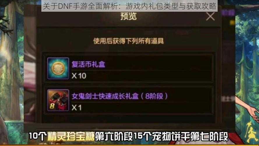 关于DNF手游全面解析：游戏内礼包类型与获取攻略