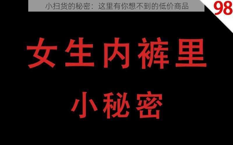 小扫货的秘密：这里有你想不到的低价商品