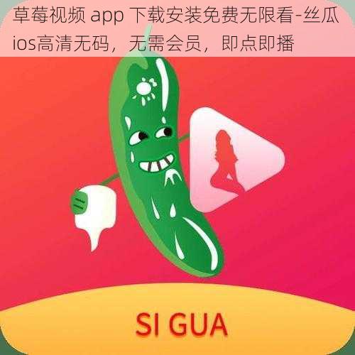 草莓视频 app 下载安装免费无限看-丝瓜 ios高清无码，无需会员，即点即播