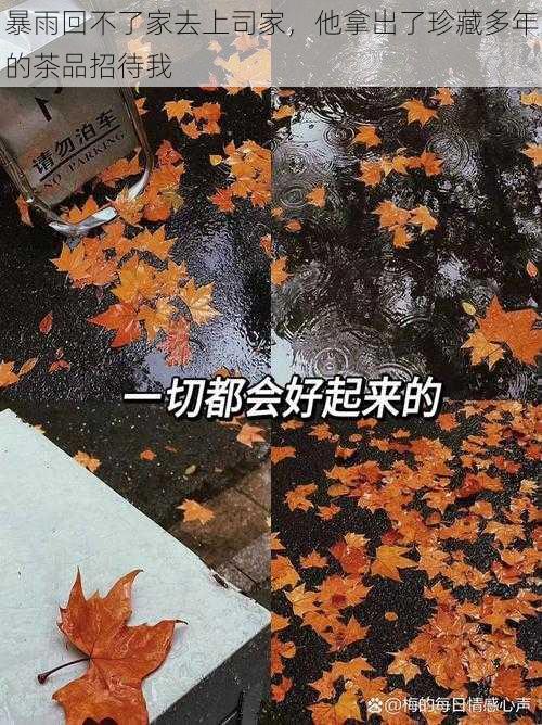 暴雨回不了家去上司家，他拿出了珍藏多年的茶品招待我