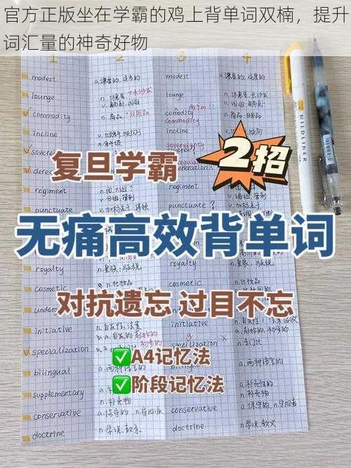 官方正版坐在学霸的鸡上背单词双楠，提升词汇量的神奇好物