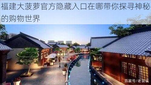 福建大菠萝官方隐藏入口在哪带你探寻神秘的购物世界