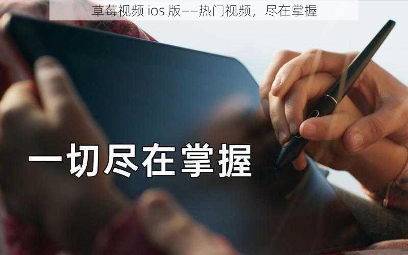 草莓视频 ios 版——热门视频，尽在掌握