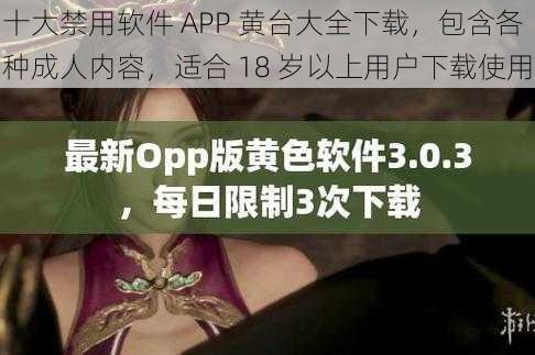 十大禁用软件 APP 黄台大全下载，包含各种成人内容，适合 18 岁以上用户下载使用