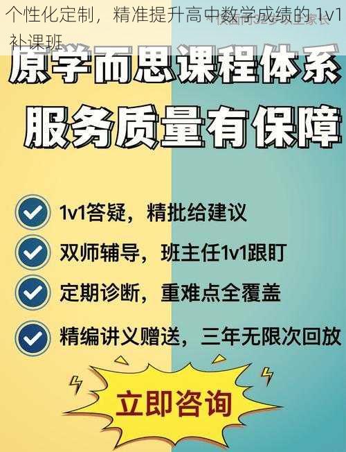 个性化定制，精准提升高中数学成绩的 1v1 补课班