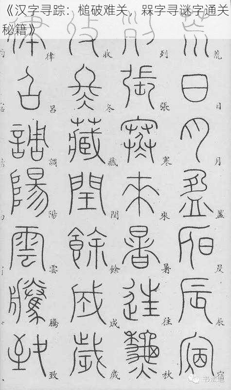 《汉字寻踪：槌破难关，槑字寻谜字通关秘籍》