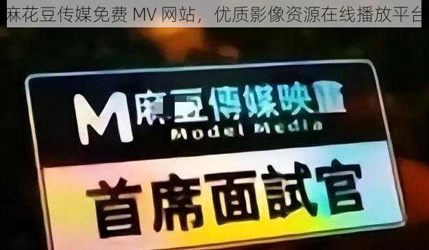 麻花豆传媒免费 MV 网站，优质影像资源在线播放平台