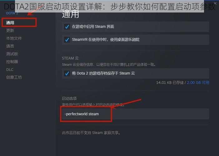 DOTA2国服启动项设置详解：步步教你如何配置启动项参数