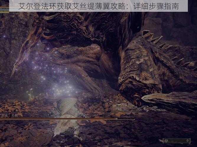 艾尔登法环获取艾丝缇薄翼攻略：详细步骤指南