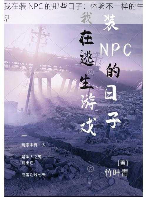 我在装 NPC 的那些日子：体验不一样的生活