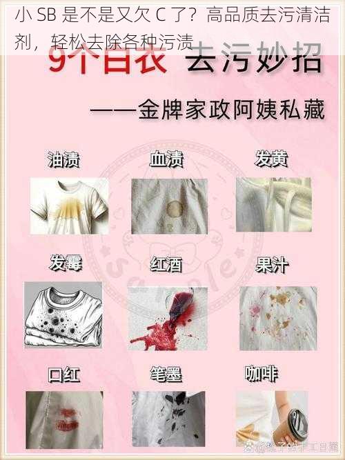 小 SB 是不是又欠 C 了？高品质去污清洁剂，轻松去除各种污渍