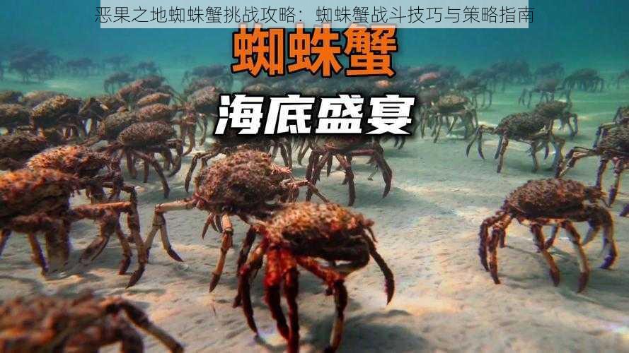 恶果之地蜘蛛蟹挑战攻略：蜘蛛蟹战斗技巧与策略指南