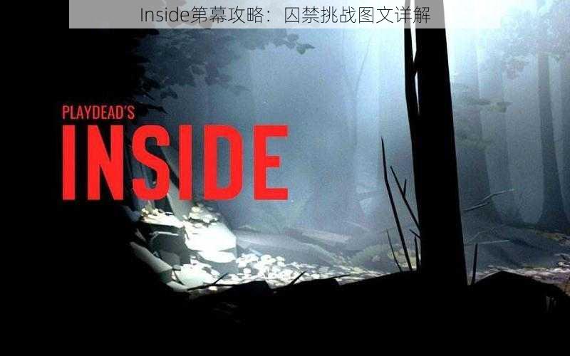 Inside第幕攻略：囚禁挑战图文详解