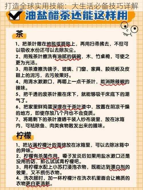 打造全球实用技能：大生活必备技巧详解