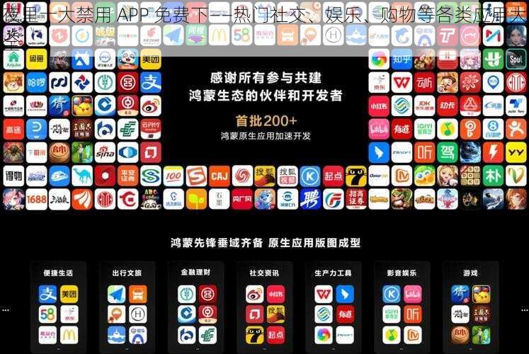 夜里十大禁用 APP 免费下——热门社交、娱乐、购物等各类应用大全