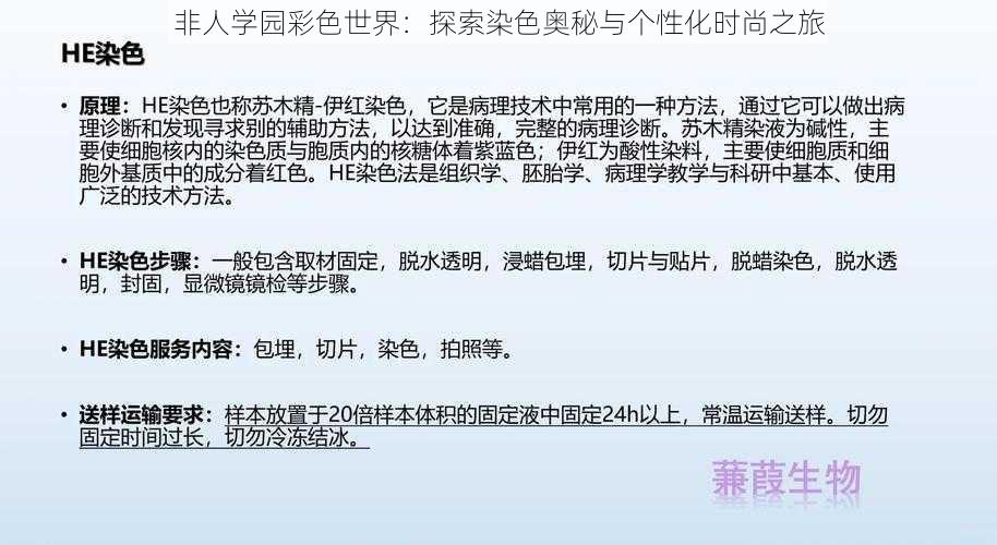 非人学园彩色世界：探索染色奥秘与个性化时尚之旅