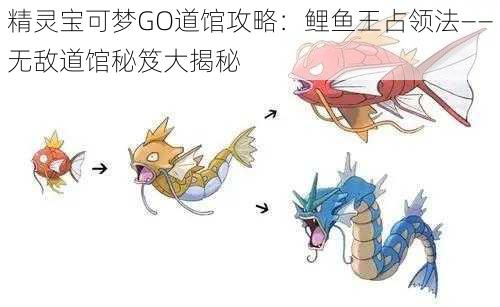 精灵宝可梦GO道馆攻略：鲤鱼王占领法——无敌道馆秘笈大揭秘