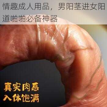 情趣成人用品，男阳茎进女阳道啪啪必备神器