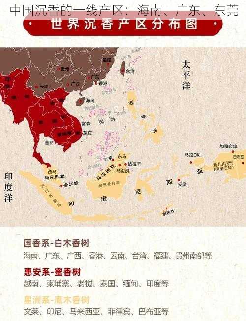 中国沉香的一线产区：海南、广东、东莞