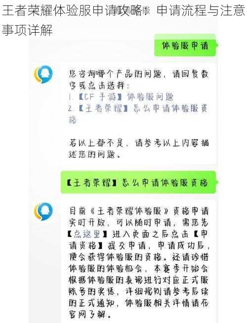 王者荣耀体验服申请攻略：申请流程与注意事项详解