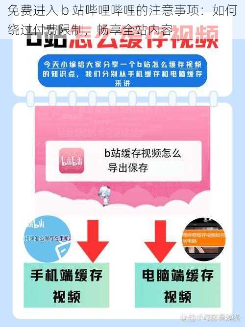 免费进入 b 站哔哩哔哩的注意事项：如何绕过付费限制，畅享全站内容