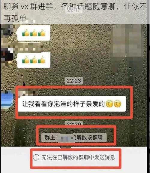 聊骚 vx 群进群，各种话题随意聊，让你不再孤单