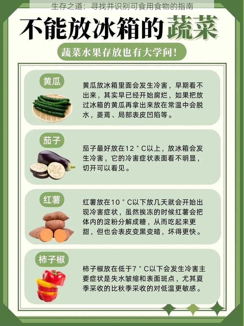 生存之道：寻找并识别可食用食物的指南