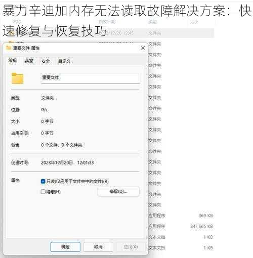 暴力辛迪加内存无法读取故障解决方案：快速修复与恢复技巧