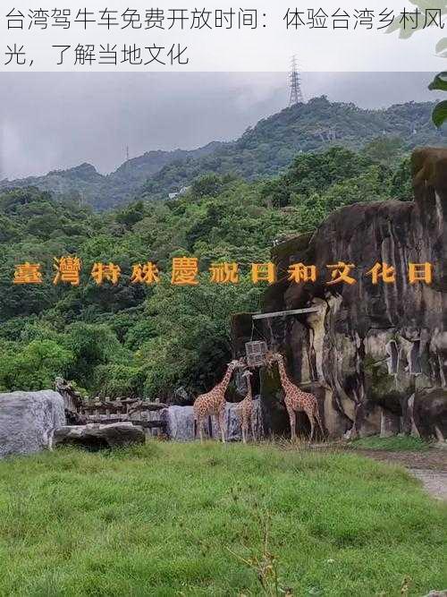 台湾驾牛车免费开放时间：体验台湾乡村风光，了解当地文化