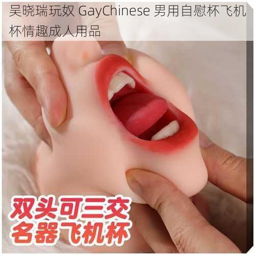 吴晓瑞玩奴 GayChinese 男用自慰杯飞机杯情趣成人用品