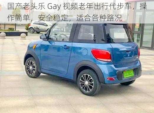 国产老头乐 Gay 视频老年出行代步车，操作简单，安全稳定，适合各种路况