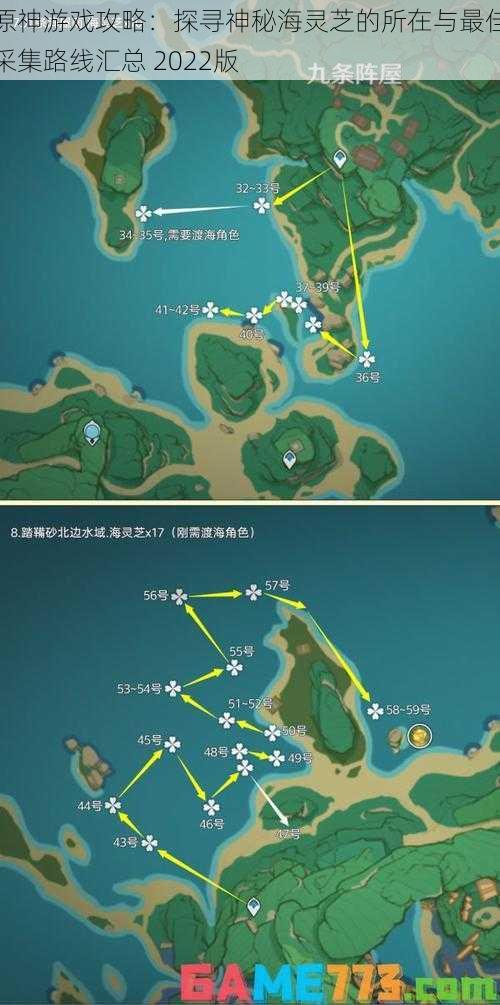 原神游戏攻略：探寻神秘海灵芝的所在与最佳采集路线汇总 2022版