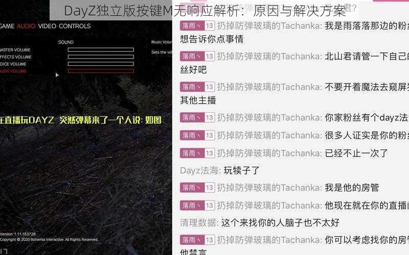 DayZ独立版按键M无响应解析：原因与解决方案